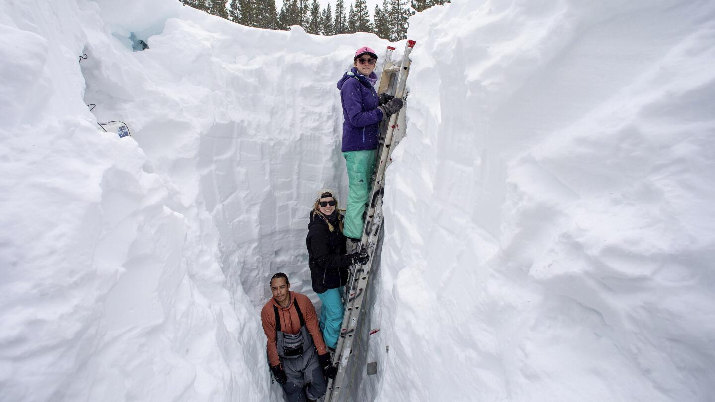 Watch snowcoming new arrivals online free